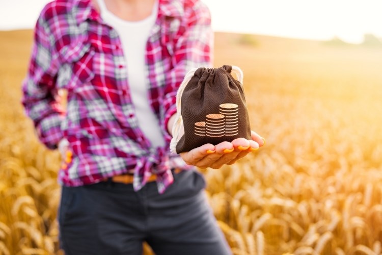 Slika /slike/Priopcenja/Foto_NOVO PRIOPĆENJA/Poljoprivreda/ef45hg54hwegf (164).jpg